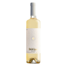 Cargar imagen en el visor de la galería, CAPRICHO DI VINO VIOGNIER