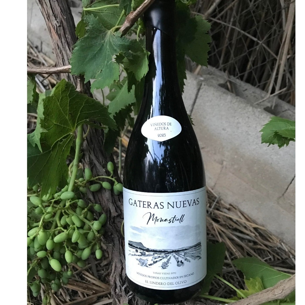 GATERAS NUEVAS LINDERO DEL OLIVO